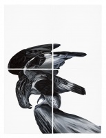 Visions West Gallery :: Bruce :: Hawk (after Audubon)
