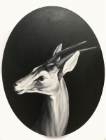 Visions West Gallery :: Bruce :: Antelope (after Desportes)