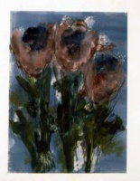 Visions West Gallery :: Bruce :: Gretl's Poppies M3, 1999