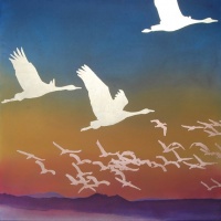 Visions West Gallery :: Bruce :: Coming In