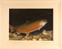 Visions West Gallery :: Bruce :: Sweetwater