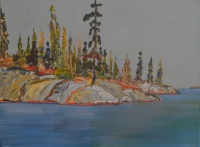 Visions West Gallery :: Bruce :: Light Rain