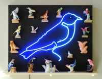 Visions West Gallery :: Bruce :: Bluebird 