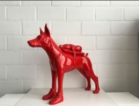 Visions West Gallery :: Bruce :: Cloned Doberman with Pet Bottle