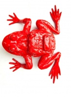 Visions West Gallery :: Bruce :: Red Frog with Backpack