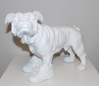 Visions West Gallery :: Bruce :: White Bouly with Shoes