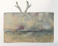 Visions West Gallery :: Bruce :: Body Bag, Whitetail