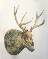 Visions West Gallery :: Bruce :: Trophy 014-Deer 1