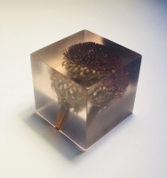 Visions West Gallery :: Bruce :: Memory Block 446