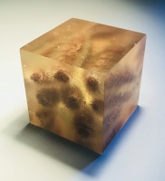 Visions West Gallery :: Bruce :: Memory Block 449