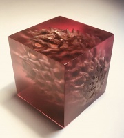 Visions West Gallery :: Bruce :: Memory Block 450