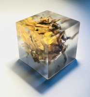 Visions West Gallery :: Bruce :: Memory Block 447