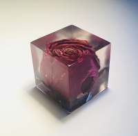 Visions West Gallery :: Bruce :: Memory Block 448