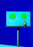 Visions West Gallery :: Bruce :: Billboard