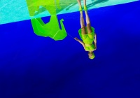 Visions West Gallery :: Bruce :: Elephanto