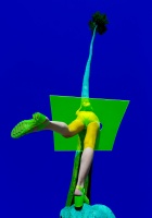 Visions West Gallery :: Bruce :: Palmsquare