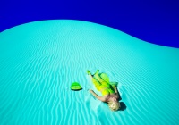 Visions West Gallery :: Bruce :: Picnic