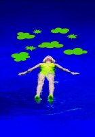 Visions West Gallery :: Bruce :: Water Lilies