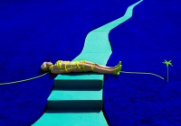 Visions West Gallery :: Bruce :: Garden