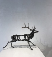 Visions West Gallery :: Bruce :: Galloping Elk