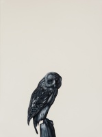 Visions West Gallery :: Bruce :: Tawny Owl (after Rankin)