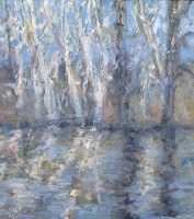 Visions West Gallery :: Bruce :: Fawn Creek Aspens