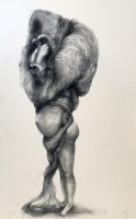 Visions West Gallery :: Bruce :: Baboon with Hair
