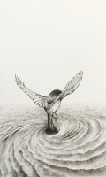 Visions West Gallery :: Bruce :: Bird with Whirlpool