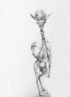 Visions West Gallery :: Bruce :: Impala