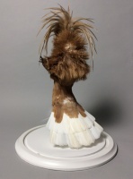 Visions West Gallery :: Bruce :: Showgirl 1