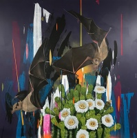 Visions West Gallery :: Bruce :: Night Breed II