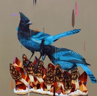 Visions West Gallery :: Bruce :: Stellars, Black Morels, and Crystals