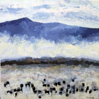 Visions West Gallery :: Bruce :: Beaverhead Angus 21, 2019