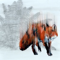 Visions West Gallery :: Bruce :: A shadow roaming like a dream