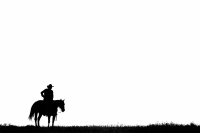 Visions West Gallery :: Bruce :: Lone Star 1