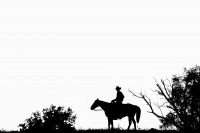 Visions West Gallery :: Bruce :: Lonestar 2