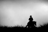 Visions West Gallery :: Bruce :: Range Boss