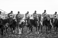 Visions West Gallery :: Bruce :: Salute