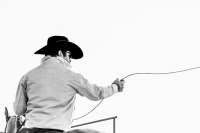 Visions West Gallery :: Bruce :: The Throw