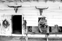 Visions West Gallery :: Bruce :: Wrangler