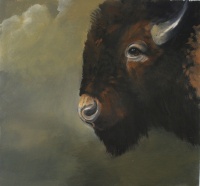 Visions West Gallery :: Bruce :: Pawn