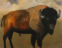 Visions West Gallery :: Bruce :: The Great North American Bison Census Project