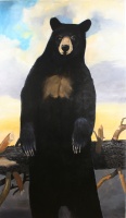 Visions West Gallery :: Bruce :: The Great North American Black Bear Census Project IV