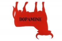Visions West Gallery :: Bruce :: Dopamine