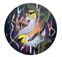 Visions West Gallery :: Bruce :: Verdins & Mesquite