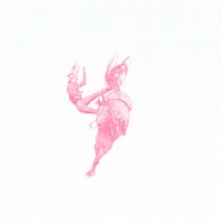 Visions West Gallery :: Bruce :: Bronc