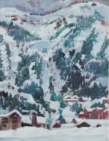 Visions West Gallery :: Bruce :: The First Day of skiing (field study)