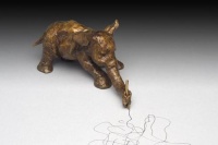 Visions West Gallery :: Bruce :: 