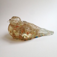 Visions West Gallery :: Bruce :: Carrier Pigeon