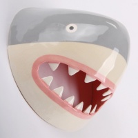 Visions West Gallery :: Bruce :: Gray Shark